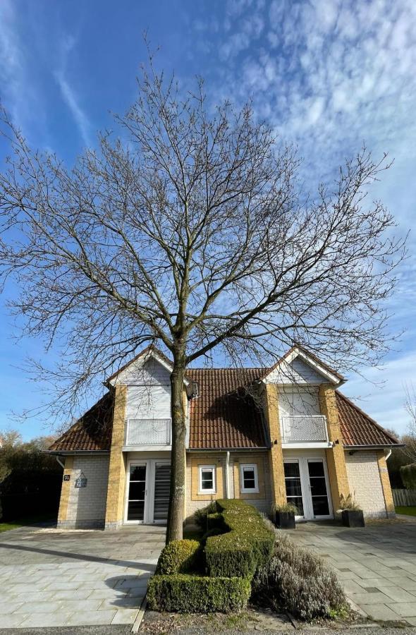 Vakantiehuis Met Luxe Tuin Dichtbij Het Strand كامبيرلاند المظهر الخارجي الصورة